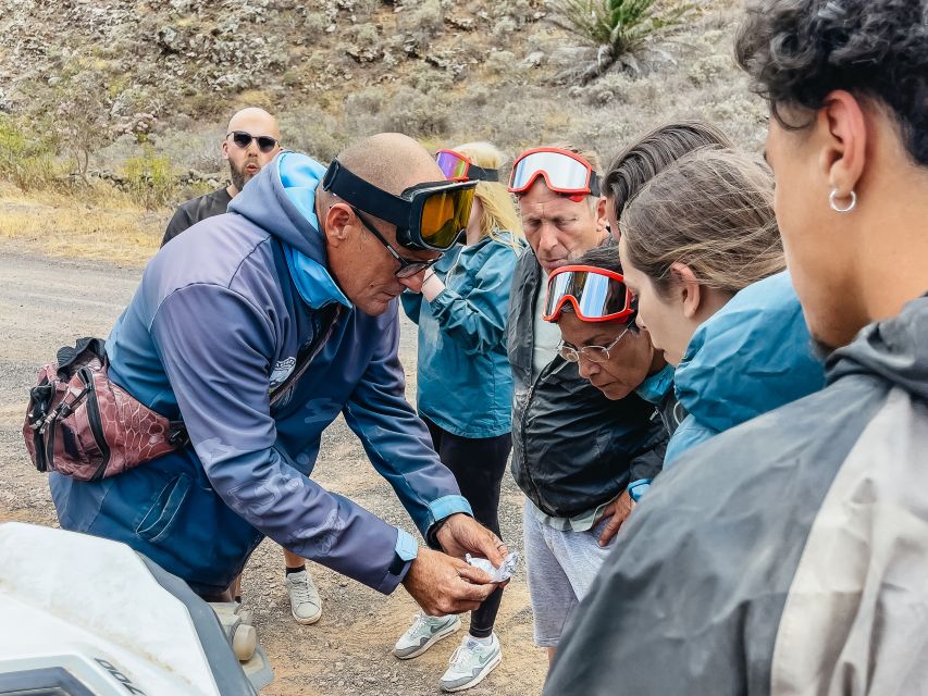 Lanzarote: Guided Off-Road Volcano Buggy Tour - Guatiza’s old quarries and the first burst of dust