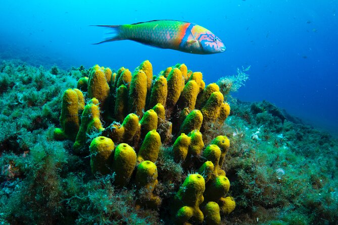 Lanzarote Introductory Scuba Diving Experience - Starting with the health check and briefing