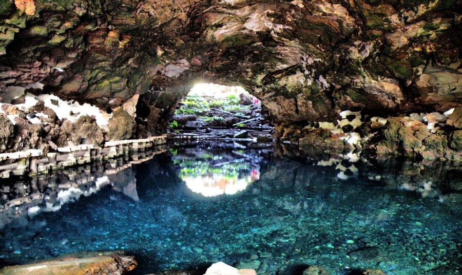Lanzarote: Jameos del Agua & North Island for Cruise Guests - The guide and bus experience