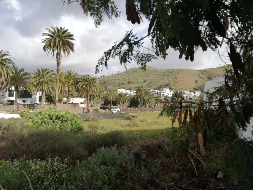 Lanzarote: Jameos del Agua & North Island for Cruise Guests - Is $47 good value?