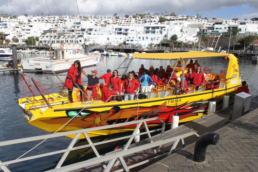 Lanzarote: Lobos Island Half-Day Dolphin Watching Trip - Searching for dolphins, whales, and flying fish