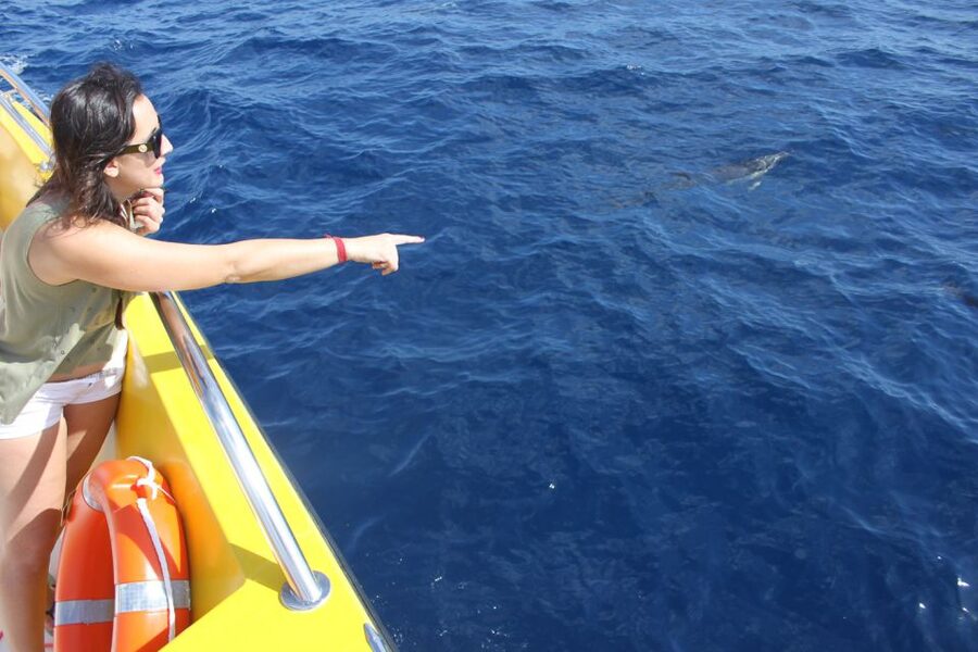 Lanzarote: Lobos Island Half-Day Dolphin Watching Trip - The return crossing and coach ride home