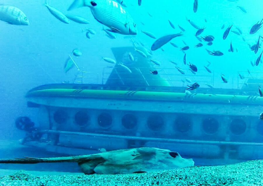 Lanzarote: Real Submarine Dive with Hotel Pickup - Comfort, safety, and who can take part