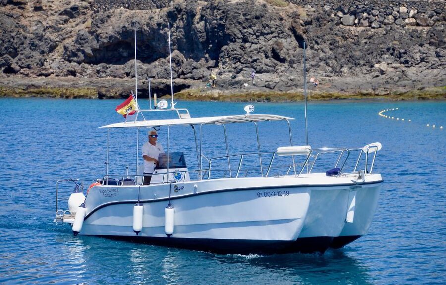 Lanzarote: Sea Safari Experience - What to bring and how to prepare