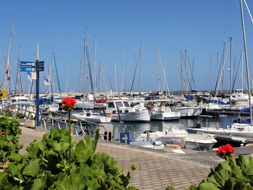 Lanzarote: Sea Safari Experience - Why the small group changes the ride