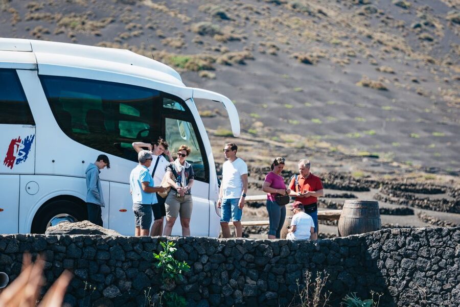 Lanzarote: Timanfaya National Park & La Geria Tour - La Geria, where vines grow in volcanic ash