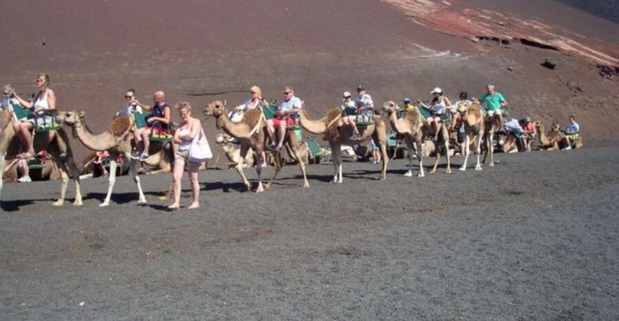 Lanzarote: Timanfaya National Park Tour - Key points to know before booking