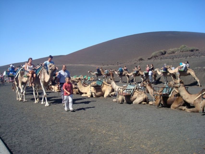 Lanzarote: Timanfaya National Park Tour - Why Timanfaya feels unlike the rest of Lanzarote