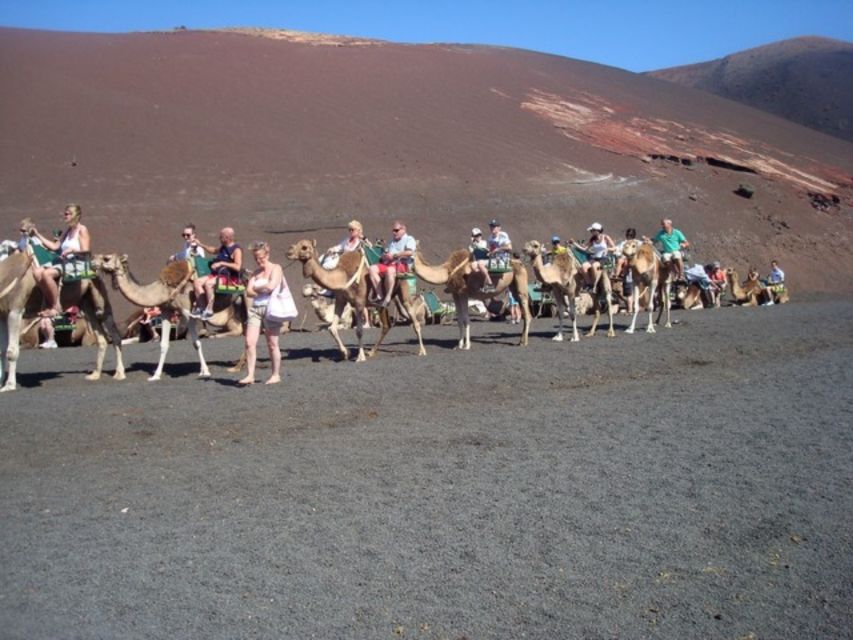 Lanzarote: Timanfaya National Park Tour - Is $67 good value?