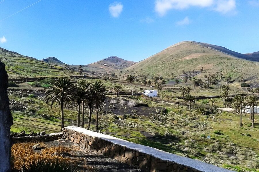 Lanzarote: Timanfaya Park and Jameos del Agua Full-Day Tour - Islet of Hilario and heat beneath your feet