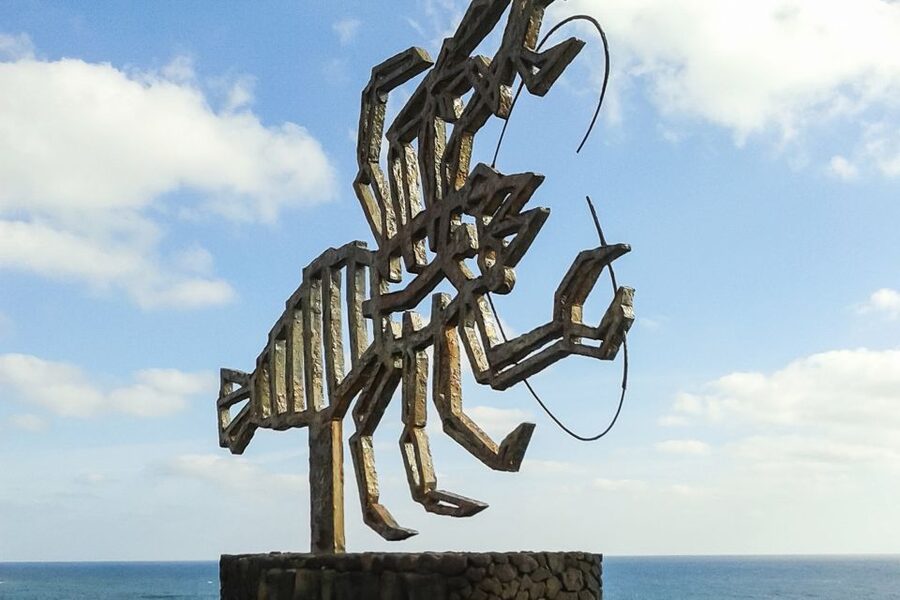 Lanzarote: Timanfaya Park and Jameos del Agua Full-Day Tour - The optional dromedary ride