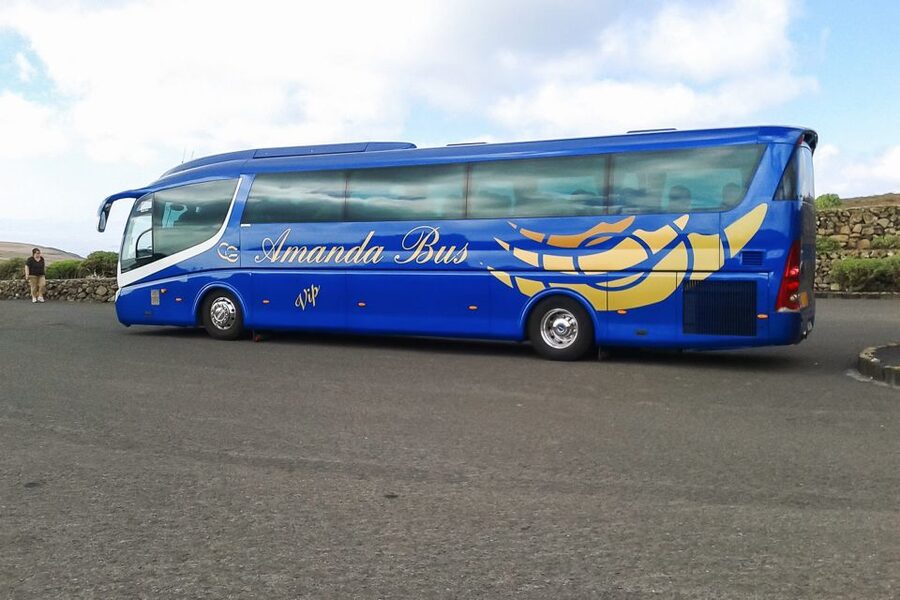 Lanzarote: Timanfaya Park and Jameos del Agua Full-Day Tour - Who should book this Lanzarote tour?