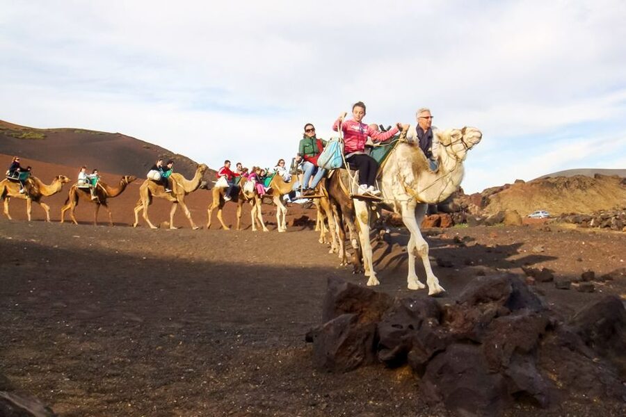 Lanzarote: Timanfaya Park and Jameos del Agua Full-Day Tour - Timanfaya National Park and the Fire Mountains