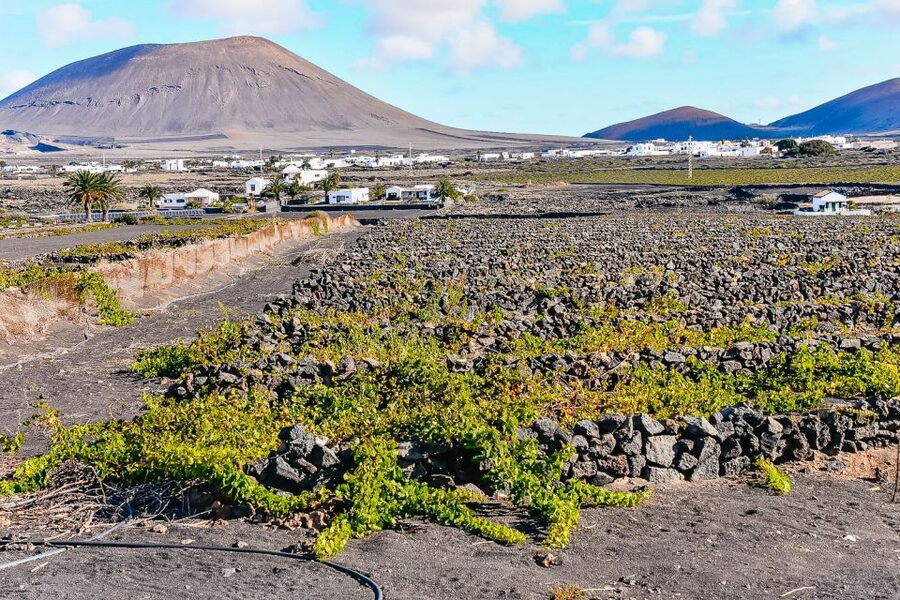 Lanzarote: Volcanos of Timanfaya and Caves Tour with Lunch - Timanfaya’s official Volcanoes Route