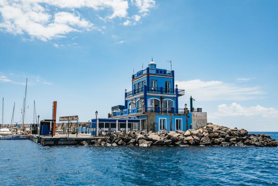 Las Galletas: Whale & Dolphin Tour with Local Skipper - Practical packing advice for the day