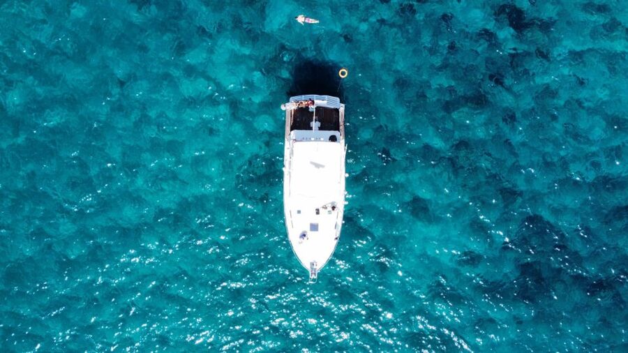 Las Galletas: Whale & Dolphin Tour with Local Skipper - Swimming and snorkeling in clear water