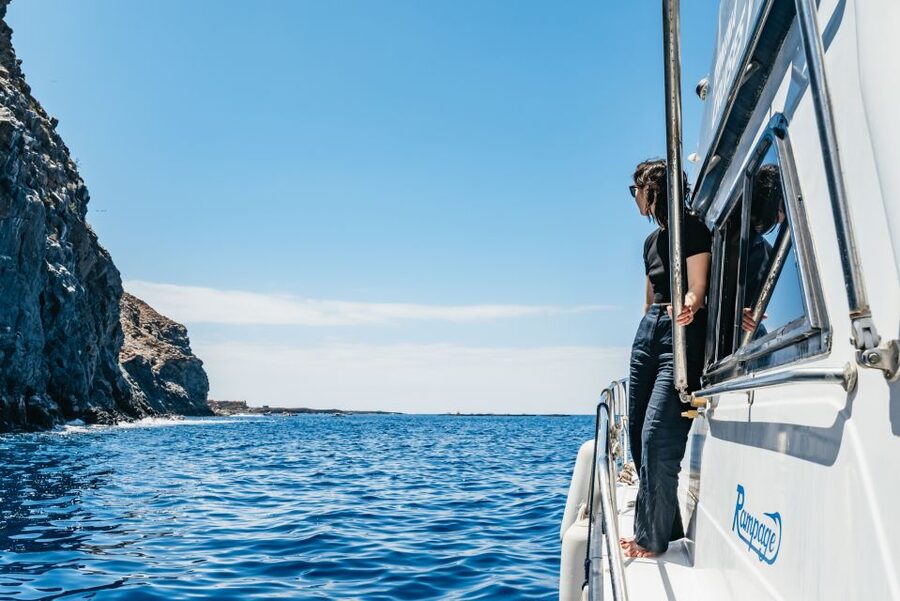 Las Galletas: Whale & Dolphin Tour with Local Skipper - The return along Punta de Rasca