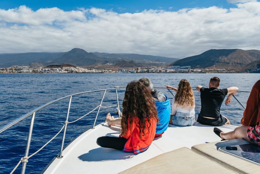 Las Galletas: Whale & Dolphin Tour with Local Skipper - What the $69 price really includes