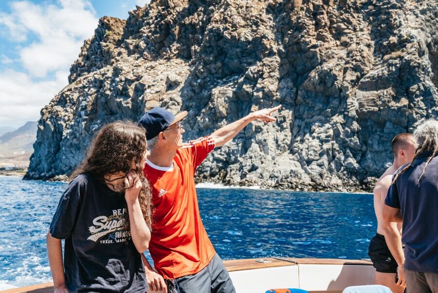 Las Galletas: Whale & Dolphin Tour with Local Skipper - Looking for whales and dolphins off Tenerife