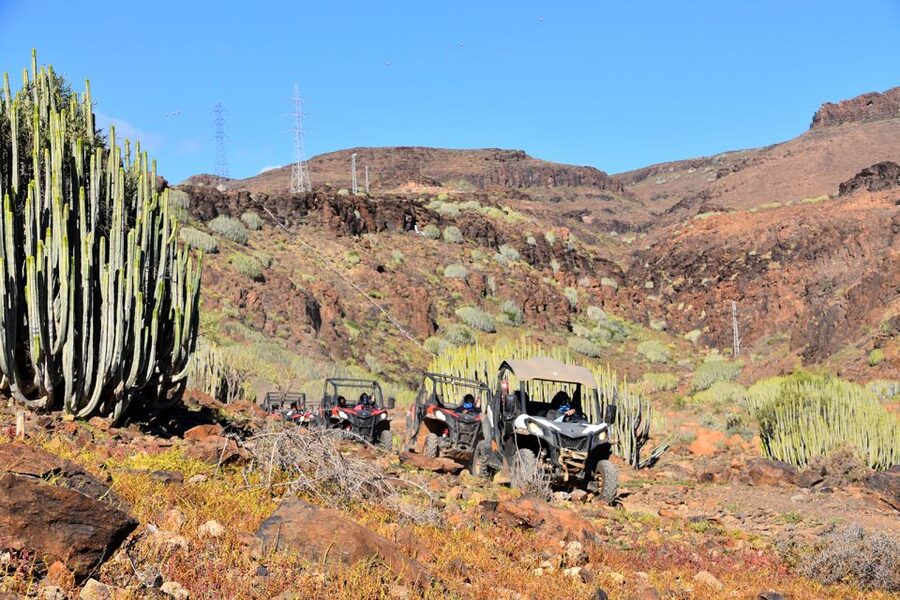 Las Palmas: Gran Canaria Guided Buggy Tour - Key points at a glance