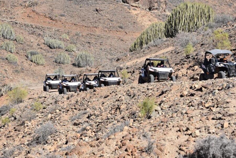 Las Palmas: Gran Canaria Guided Buggy Tour - What happens before you drive