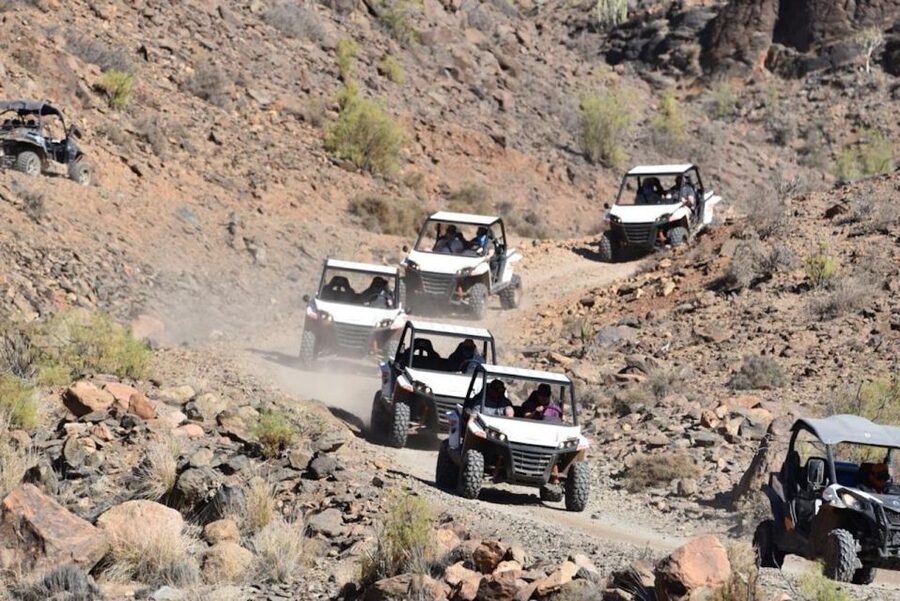 Las Palmas: Gran Canaria Guided Buggy Tour - Pace, group feel, and guide quality