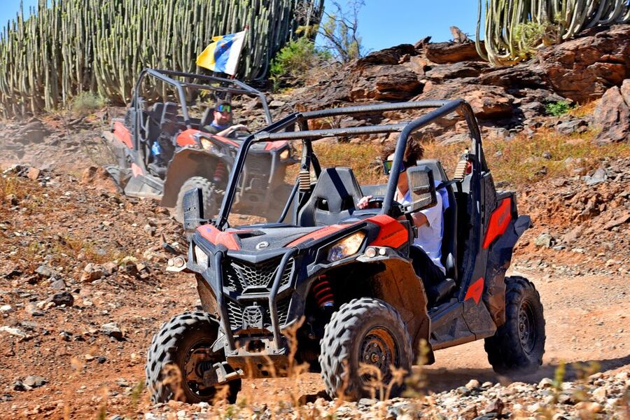 Las Palmas: Gran Canaria Guided Buggy Tour - Booking advice and practical preparation