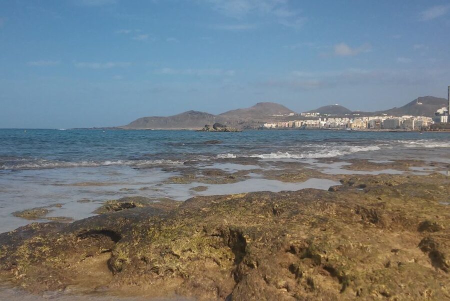 Las Palmas: Las Canteras Beach Snorkeling Trip - Getting Ready With Fins, Masks, and Wetsuits