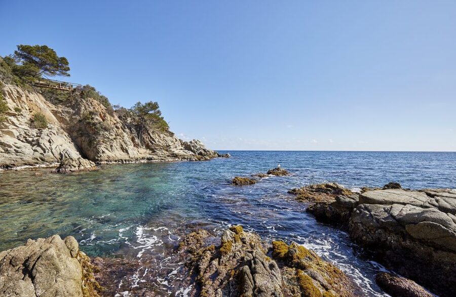 Lloret de Mar: Costa Brava Kayak Tour and Swimming - Key points to know before you paddle