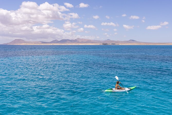 Lobos Island Half-Day Sailing Tour with Lunch - Price, timing, and what you receive