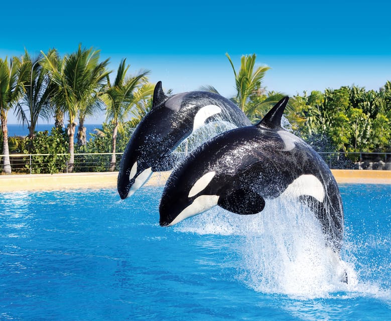 Loro Parque and Siam Park Combined Admission Tickets - Key points to know before booking