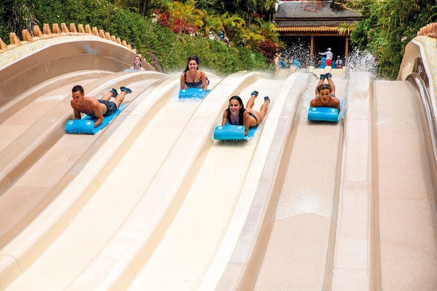 Loro Parque and Siam Park Combined Admission Tickets - Queue times can decide how much you see