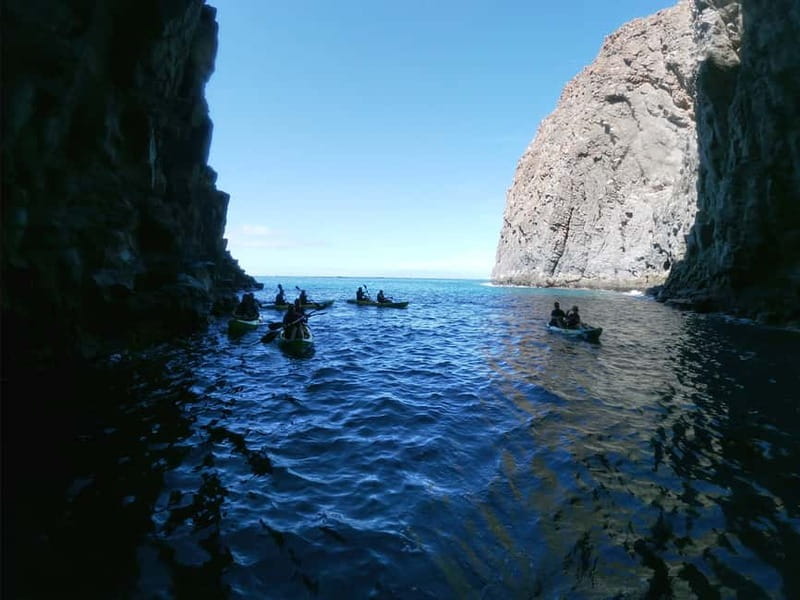 Los Cristianos: Kayak and Snorkel with Turtles and Photos - Key points to know before you paddle