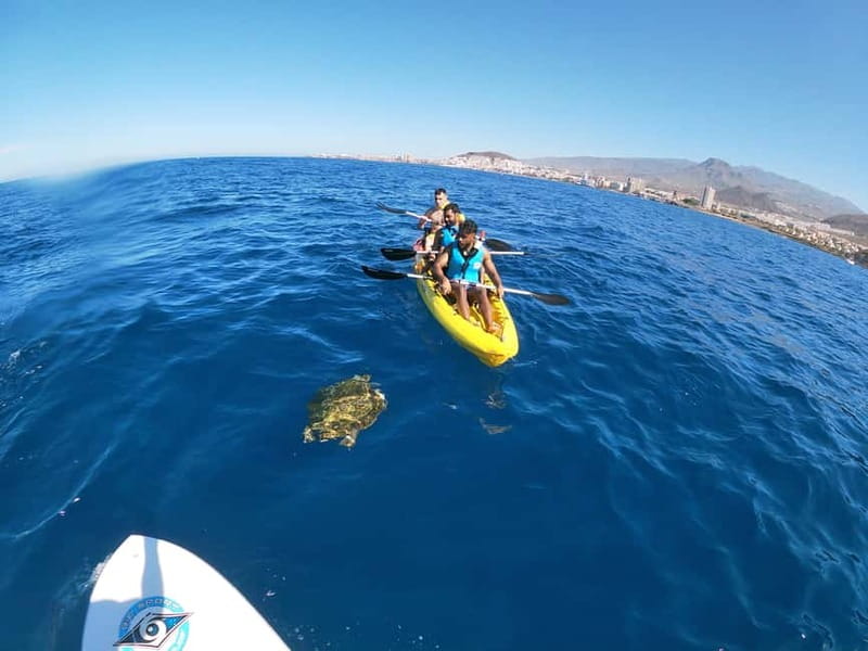 Los Cristianos: Kayak and Snorkel with Turtles and Photos - A sea cave and a snorkeling stop near the cliffs