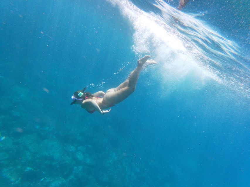 Los Cristianos: Kayak and Snorkel with Turtles and Photos - Searching for dolphins, turtles, and smaller sea life