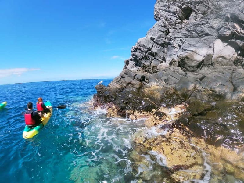 Los Cristianos: Kayak and Snorkel with Turtles and Photos - What the $34 price really includes