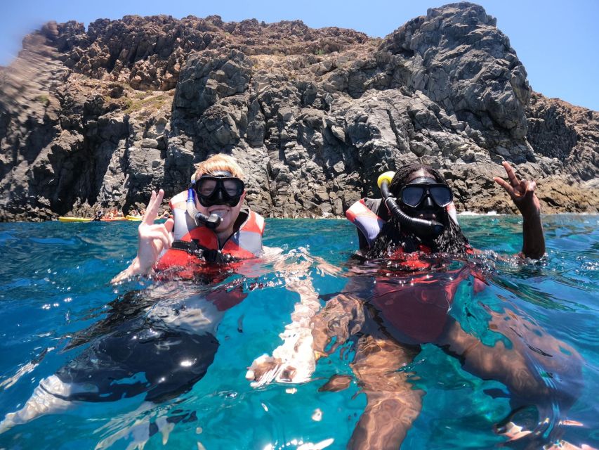 Los Cristianos: Kayaking and Snorkeling with Marine Wildlife - Guides, safety, and the feel of the outing