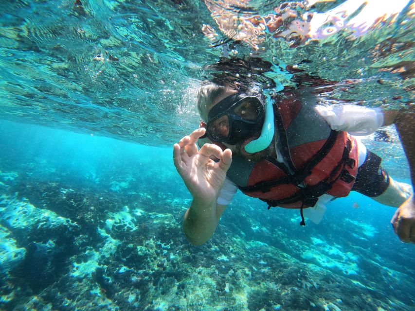 Los Cristianos: Kayaking and Snorkeling with Marine Wildlife - Who gets the best value from $53?
