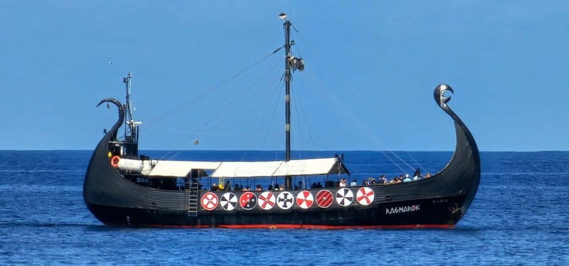 Los Cristianos: Viking Cruise Whales & Dolphins Watching - Who will enjoy Ragnarok most?