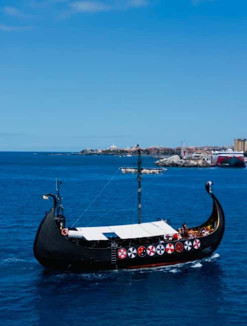 Los Cristianos: Viking Cruise Whales & Dolphins Watching - Tips for making the most of the cruise