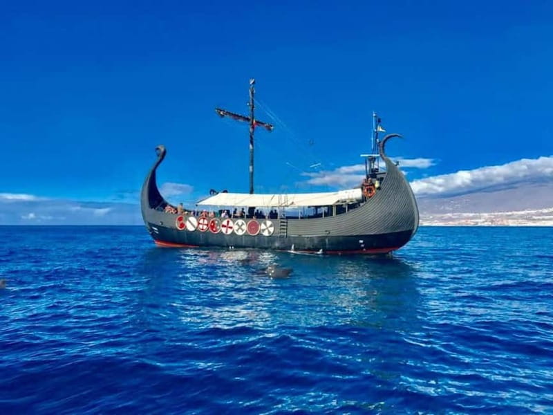 Los Cristianos: Whale Watching Cruise w/Swim Stop & Drinks - Along Playa de Las Américas and Adeje