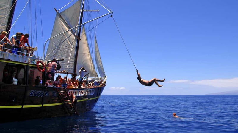 Los Gigantes: Dolphin and Whale Watching Tour with Drinks - Booking details that matter