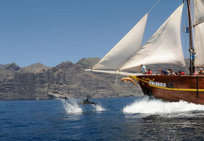 Los Gigantes: Dolphin and Whale Watching Tour with Drinks - Searching the Atlantic for dolphins and whales