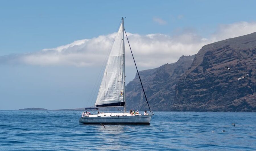Los Gigantes: Sailing Excursion with Swimming, Drink & Tapas - Tapas, Cava, and Time on Deck