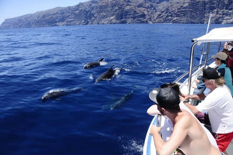 Los Gigantes: Whale or dolphin watching and swimming tour in Masca - Why this Los Gigantes boat trip works so well
