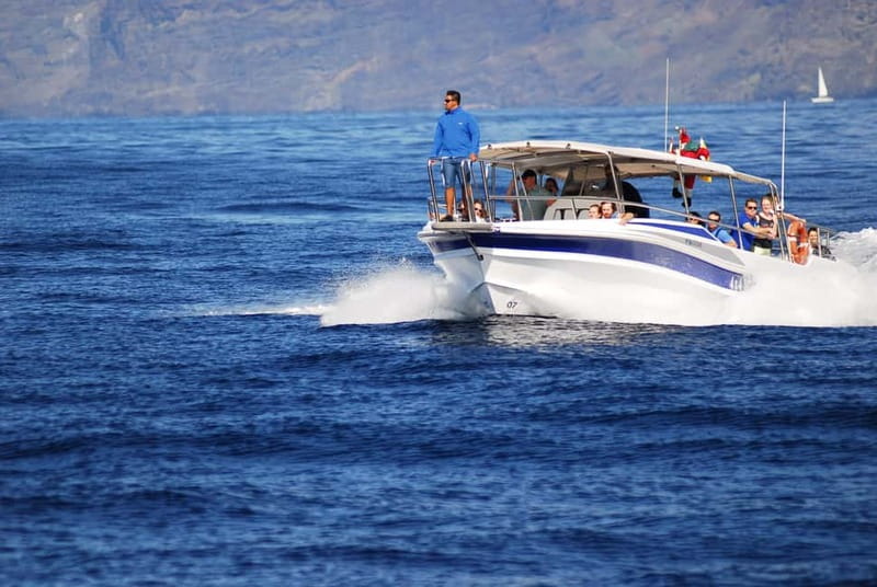 Los Gigantes: Whale or dolphin watching and swimming tour in Masca - The first 30 minutes on the speedboat
