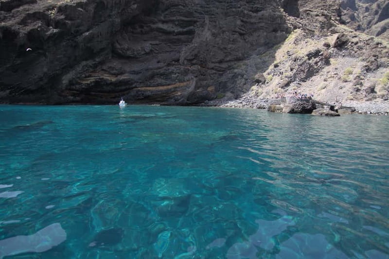 Los Gigantes: Whale or dolphin watching and swimming tour in Masca - Practical advice for a smoother trip