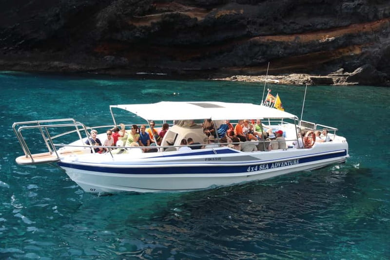 Los Gigantes: Whale or dolphin watching and swimming tour in Masca - Starting at the Los Gigantes harbor