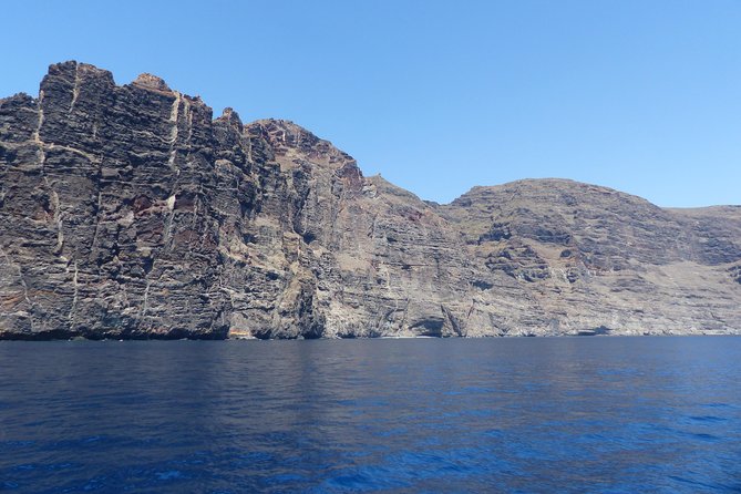 Los Gigantes Whale Watching Charter by Sail Boat - Is $90.70 a fair price?