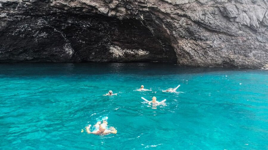 Los Gigantes: Whales and Dolphin Watching Cruise with Lunch - Should you book it?